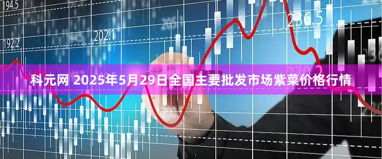 科元网 2025年5月29日全国主要批发市场紫菜价格行情