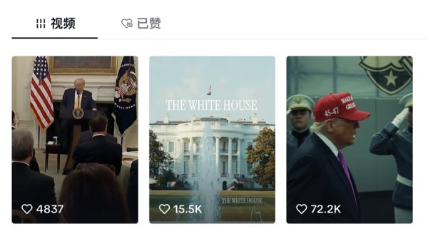 盛谷策略 一晚涨粉五万！白宫推出TikTok账号，发布特朗普“金句集合”