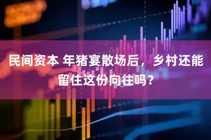 民间资本 年猪宴散场后，乡村还能留住这份向往吗？